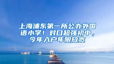 上海浦东第一所公办外国语小学！对口超强初中，今年入户年限放宽