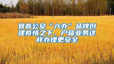 宜春公安“六办”品牌创建疫情之下，户籍业务这样办理更安全