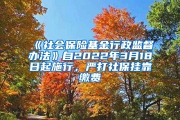 《社会保险基金行政监督办法》自2022年3月18日起施行，严打社保挂靠缴费