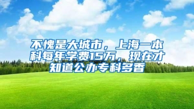 不愧是大城市，上海一本科每年学费15万，现在才知道公办专科多香