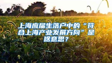 上海应届生落户中的“符合上海产业发展方向”是啥意思？