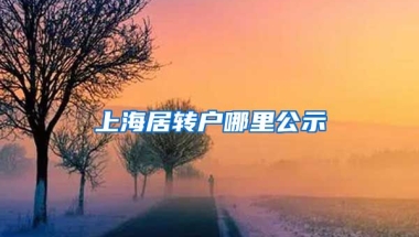 上海居转户哪里公示