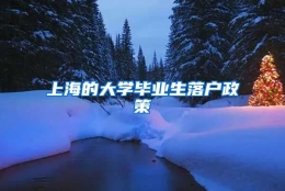 上海的大学毕业生落户政策