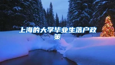 上海的大学毕业生落户政策