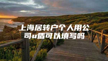 上海居转户个人用公司u盾可以填写吗