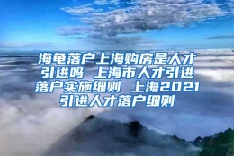 海龟落户上海购房是人才引进吗 上海市人才引进落户实施细则 上海2021引进人才落户细则