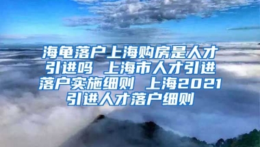 海龟落户上海购房是人才引进吗 上海市人才引进落户实施细则 上海2021引进人才落户细则