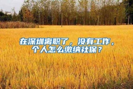 在深圳离职了，没有工作，个人怎么缴纳社保？