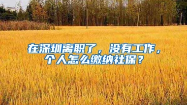 在深圳离职了，没有工作，个人怎么缴纳社保？