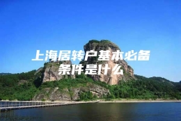 上海居转户基本必备条件是什么