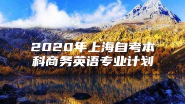 2020年上海自考本科商务英语专业计划