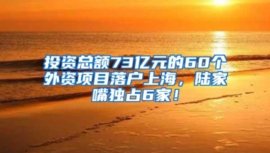 投资总额73亿元的60个外资项目落户上海，陆家嘴独占6家！