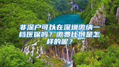 非深户可以在深圳缴纳一档医保吗？缴费比例是怎样的呢？