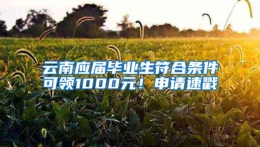 云南应届毕业生符合条件可领1000元！申请速戳→