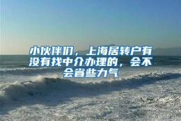 小伙伴们，上海居转户有没有找中介办理的，会不会省些力气