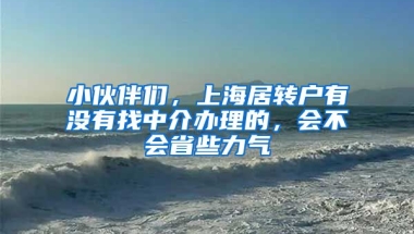 小伙伴们，上海居转户有没有找中介办理的，会不会省些力气