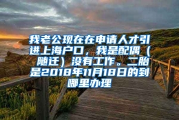 我老公现在在申请人才引进上海户口，我是配偶（ 随迁）没有工作。二胎是2018年11月18日的到哪里办理