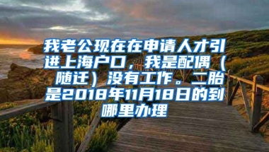 我老公现在在申请人才引进上海户口，我是配偶（ 随迁）没有工作。二胎是2018年11月18日的到哪里办理