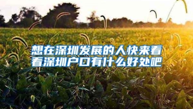 想在深圳发展的人快来看看深圳户口有什么好处吧