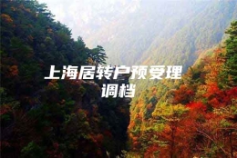 上海居转户预受理 调档