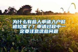 为什么有些人申请入户时被拉黑了？申请过程中一定要注意这些问题