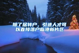 除了居转户，引进人才可以直接落户临港新片区