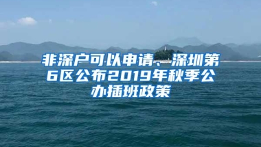 非深户可以申请、深圳第6区公布2019年秋季公办插班政策