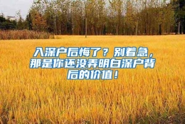 入深户后悔了？别着急，那是你还没弄明白深户背后的价值！