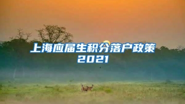 上海应届生积分落户政策2021