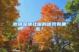 缴纳深圳社保的优势有哪些？