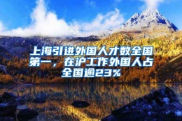 上海引进外国人才数全国第一，在沪工作外国人占全国逾23%