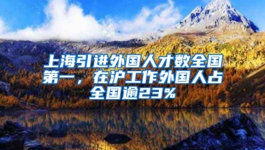 上海引进外国人才数全国第一，在沪工作外国人占全国逾23%