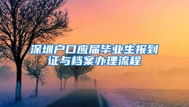 深圳户口应届毕业生报到证与档案办理流程