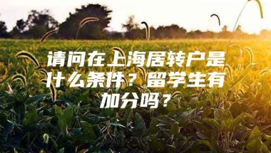 请问在上海居转户是什么条件？留学生有加分吗？