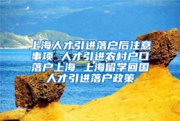 上海人才引进落户后注意事项 人才引进农村户口落户上海 上海留学回国人才引进落户政策