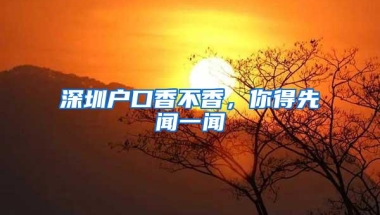 深圳户口香不香，你得先闻一闻