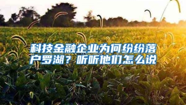 科技金融企业为何纷纷落户罗湖？听听他们怎么说