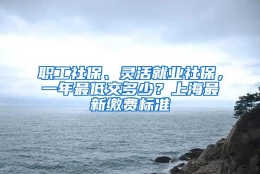 职工社保、灵活就业社保，一年最低交多少？上海最新缴费标准