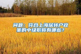 问题：符合上海居转户政策的中级职称有哪些？