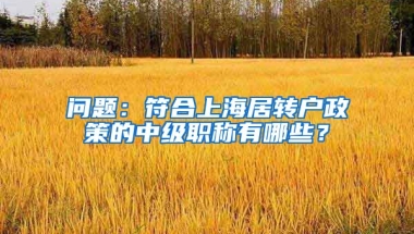 问题：符合上海居转户政策的中级职称有哪些？