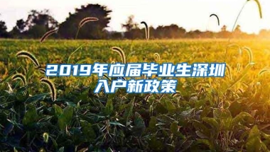 2019年应届毕业生深圳入户新政策