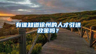 有谁知道徐州的人才引进政策吗？