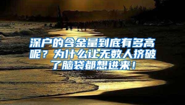 深户的含金量到底有多高呢？为什么让无数人挤破了脑袋都想进来！