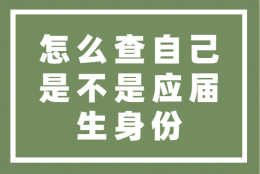 怎么查自己是不是应届生身份？