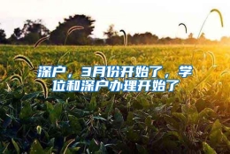 深户，3月份开始了，学位和深户办理开始了