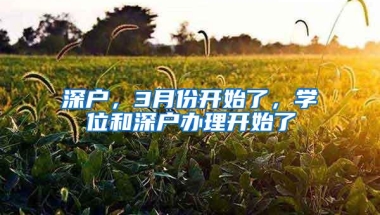 深户，3月份开始了，学位和深户办理开始了