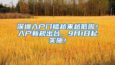 深圳入户门槛越来越低啦！入户新规出台，9月1日起实施！