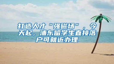 打造人才“强磁场”，今天起，浦东留学生直接落户可就近办理