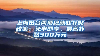 上海出台两项稳就业补贴政策：免申即享、最高补贴300万元