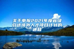 关于申报2021年度省级引进境外人才项目计划的通知